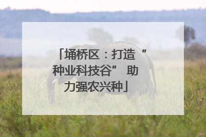 埇桥区：打造“种业科技谷” 助力强农兴种