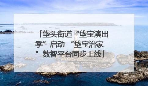 垡头街道“垡宝演出季”启动 “垡宝治家”数智平台同步上线