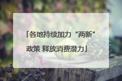 各地持续加力“两新”政策 释放消费潜力