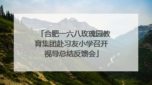 合肥一六八玫瑰园教育集团赴习友小学召开视导总结反馈会