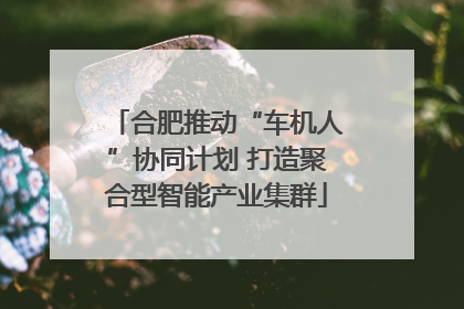 合肥推动“车机人”协同计划 打造聚合型智能产业集群