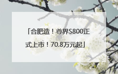 合肥造！尊界S800正式上市！70.8万元起