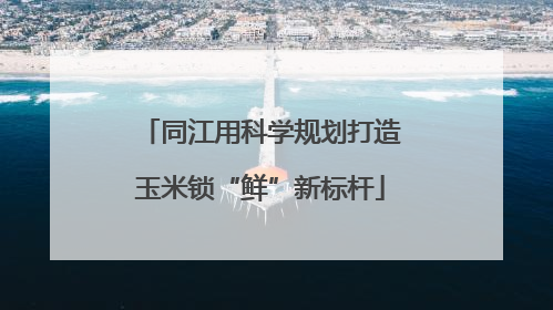 同江用科学规划打造玉米锁“鲜”新标杆