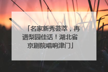 名家新秀荟萃，再谱梨园佳话！湖北省京剧院唱响津门