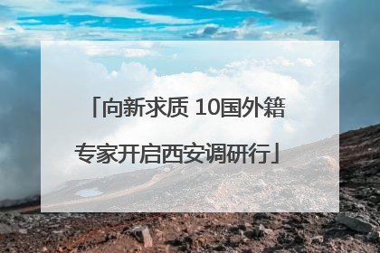 向新求质 10国外籍专家开启西安调研行