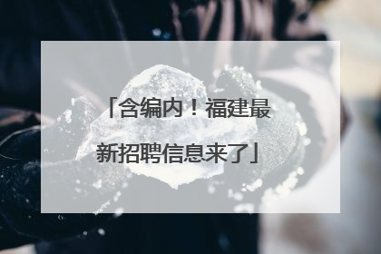 含编内！福建最新招聘信息来了