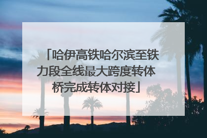 哈伊高铁哈尔滨至铁力段全线最大跨度转体桥完成转体对接