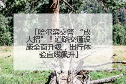 哈尔滨交警 “放大招”！道路交通设施全面升级，出行体验直线飙升