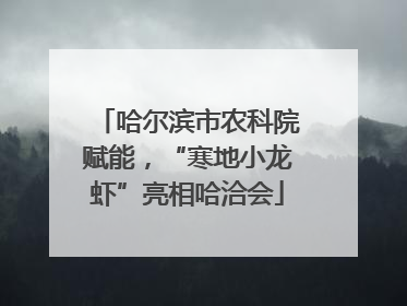 哈尔滨市农科院赋能，“寒地小龙虾”亮相哈洽会