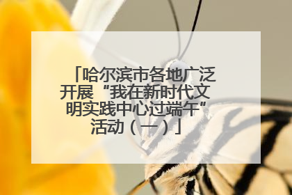 哈尔滨市各地广泛开展“我在新时代文明实践中心过端午”活动（一）