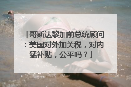 哥斯达黎加前总统顾问：美国对外加关税，对内猛补贴，公平吗？
