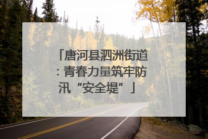 唐河县泗洲街道：青春力量筑牢防汛“安全堤”
