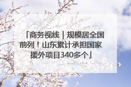 商务视线｜规模居全国前列！山东累计承担国家援外项目340多个