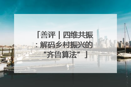善评｜四维共振：解码乡村振兴的“齐鲁算法”