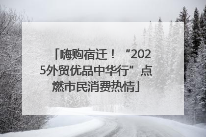 嗨购宿迁！“2025外贸优品中华行”点燃市民消费热情