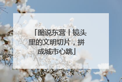图说东营丨镜头里的文明切片，拼成城市心跳