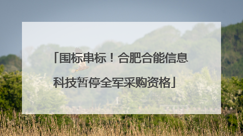围标串标！合肥合能信息科技暂停全军采购资格