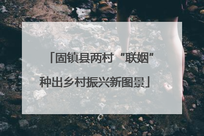 固镇县两村“联姻”种出乡村振兴新图景