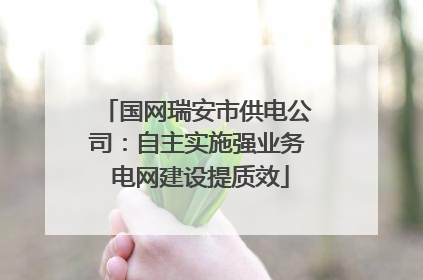 国网瑞安市供电公司：自主实施强业务 电网建设提质效