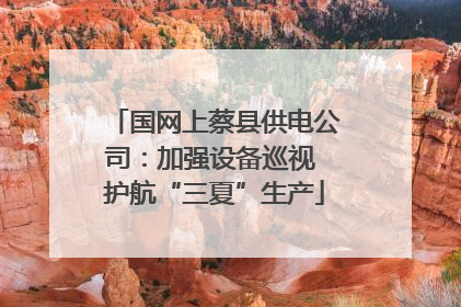 国网上蔡县供电公司：加强设备巡视 护航“三夏”生产