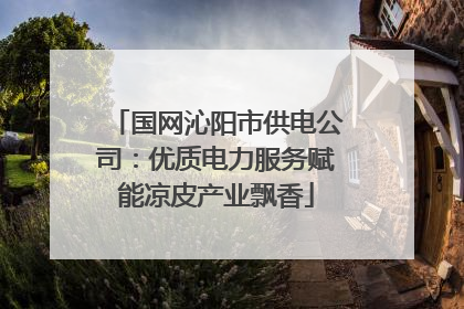 国网沁阳市供电公司：优质电力服务赋能凉皮产业飘香