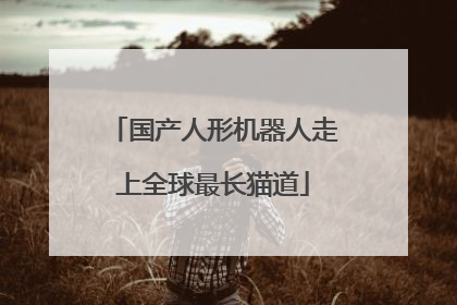 国产人形机器人走上全球最长猫道
