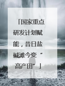 国家重点研发计划赋能，昔日盐碱滩今变“高产田”