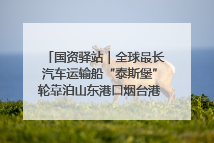 国资驿站｜全球最长汽车运输船“泰斯堡”轮靠泊山东港口烟台港；渤海最大油气平台完成浮托安装