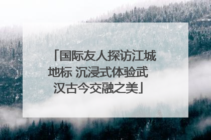 国际友人探访江城地标 沉浸式体验武汉古今交融之美