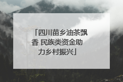 四川苗乡油茶飘香 民族类资金助力乡村振兴