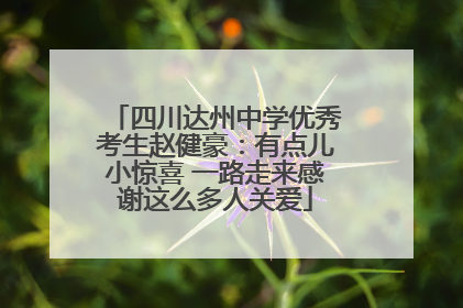 四川达州中学优秀考生赵健豪：有点儿小惊喜 一路走来感谢这么多人关爱