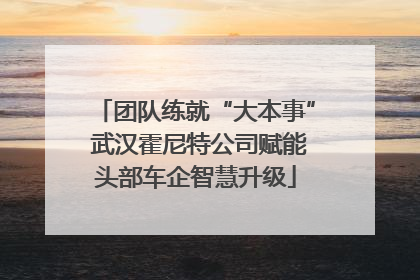 团队练就“大本事” 武汉霍尼特公司赋能头部车企智慧升级