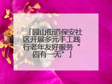 园山街道保安社区开展多元手工践行老年友好服务“四有一无”