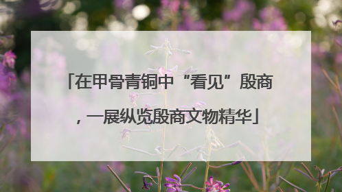 在甲骨青铜中“看见”殷商，一展纵览殷商文物精华