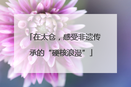 在太仓，感受非遗传承的“硬核浪漫”