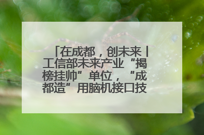 在成都，创未来丨工信部未来产业“揭榜挂帅”单位，“成都造”用脑机接口技术造福孤独症儿童