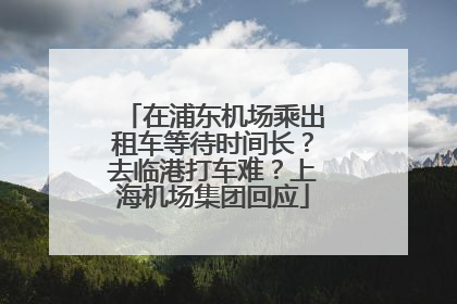 在浦东机场乘出租车等待时间长？去临港打车难？上海机场集团回应