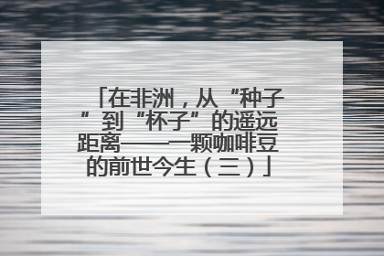 在非洲，从“种子”到“杯子”的遥远距离——一颗咖啡豆的前世今生（三）