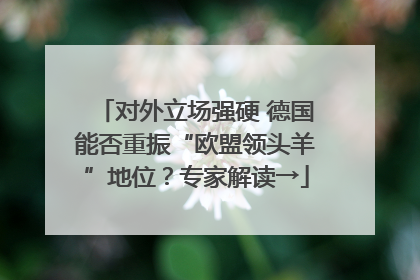 对外立场强硬 德国能否重振“欧盟领头羊”地位？专家解读→