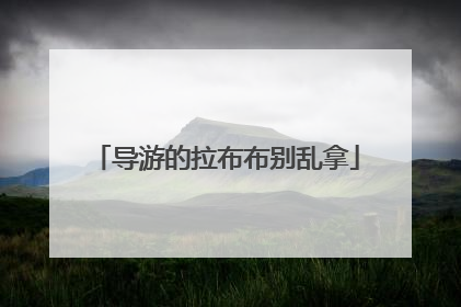 导游的拉布布别乱拿