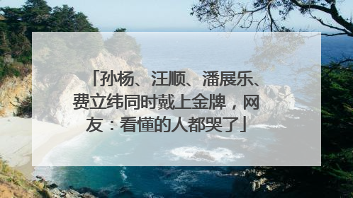 孙杨、汪顺、潘展乐、费立纬同时戴上金牌，网友：看懂的人都哭了