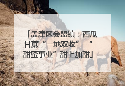 孟津区会盟镇：西瓜甘蔗“一地双收” “甜蜜事业”甜上加甜