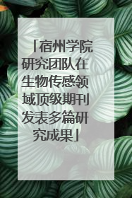 宿州学院研究团队在生物传感领域顶级期刊发表多篇研究成果