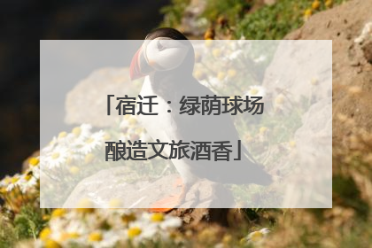 宿迁：绿荫球场酿造文旅酒香
