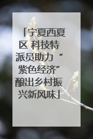 宁夏西夏区 科技特派员助力“紫色经济”酿出乡村振兴新风味