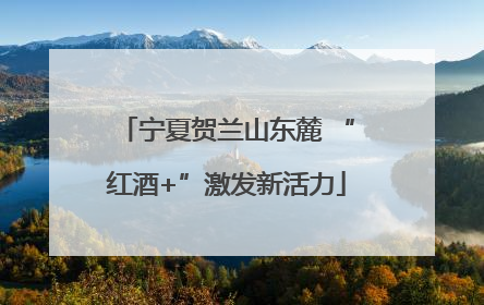 宁夏贺兰山东麓 “红酒+”激发新活力