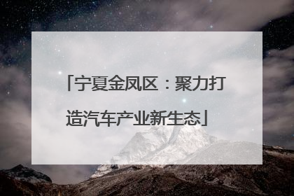 宁夏金凤区：聚力打造汽车产业新生态