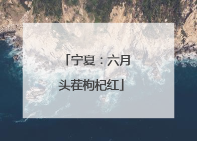 宁夏：六月头茬枸杞红