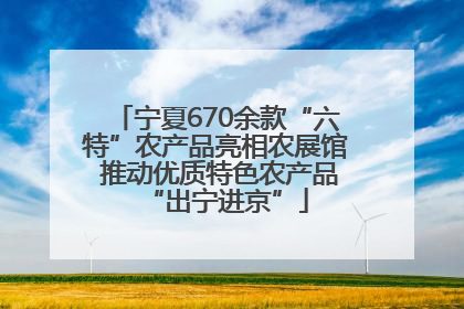 宁夏670余款“六特”农产品亮相农展馆 推动优质特色农产品“出宁进京”