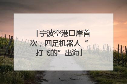 宁波空港口岸首次，四足机器人“打飞的”出海